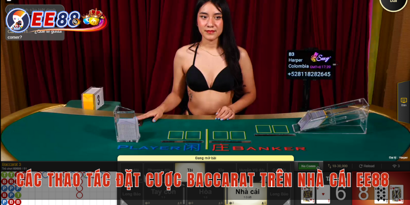 Các thao tác đặt cược Baccarat trên nhà cái EE88 